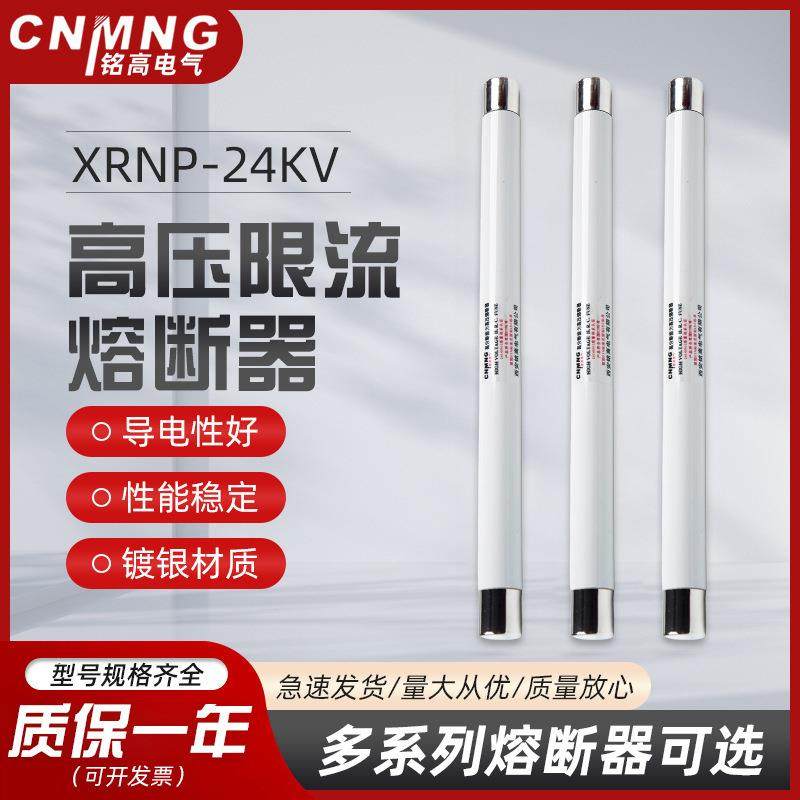 互感器保护用高压高分段能力限流熔断器XRNP1-24KV0.5A2A25*280mm