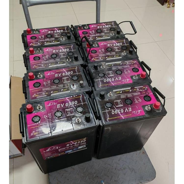 理士蓄电池EV63906V390AHL16GAC曲臂式高空作业平台J305P扫地机