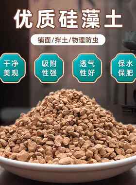 厂家优质硅藻土多肉绿植拌土疏松土壤调节酸碱度君子兰兰