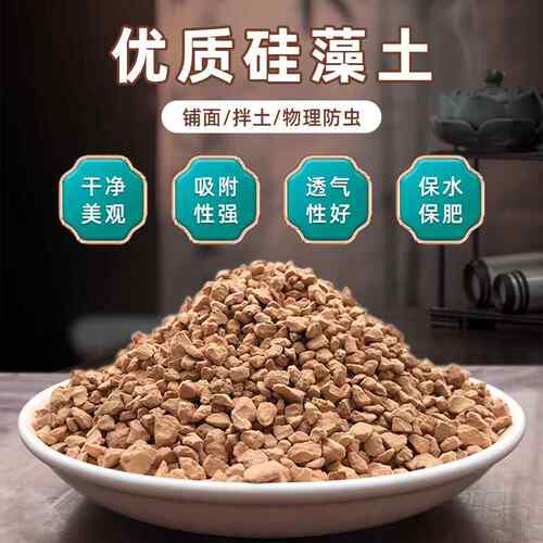 厂家优质硅藻土多肉绿植拌土疏松土壤调节酸碱度君子兰兰