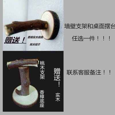 家居摆件装饰品鸟类标本假鸟仿真鸟小鸟鹦鹉标本墙壁挂件羽毛鸟
