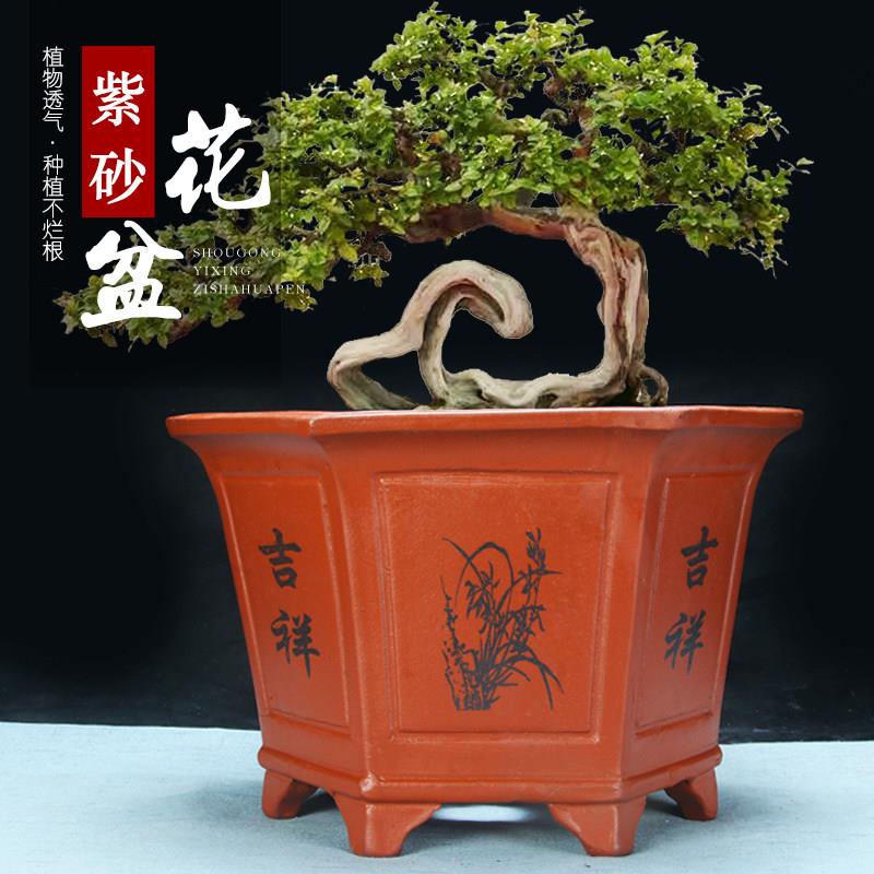 六角花盆紫砂花盆特价清仓君子兰特大号八角兰花卉盆栽六边陶瓷盆