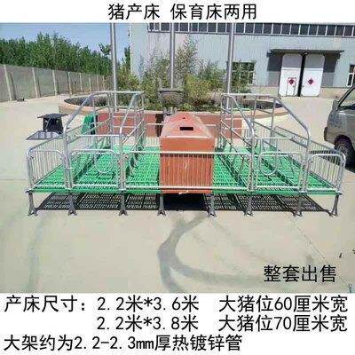 母猪产床保育两用复合板母猪限位栏保育床产床母猪设备床养殖设备