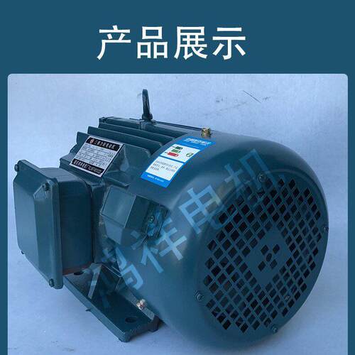 浙瑞安鸿祥电机LJ010882Y-5N-6卧式三相异江步力矩电动机