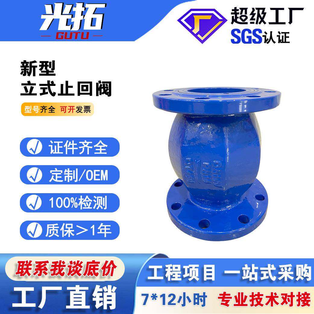 立式止回阀HC41X-16Q法兰立式止回阀铸铁单向阀滚球式止回阀
