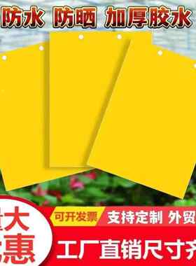 黄板双面粘虫板诱虫板贴纸灭小飞虫沾果蝇诱捕器果园蚊子苍蝇大棚
