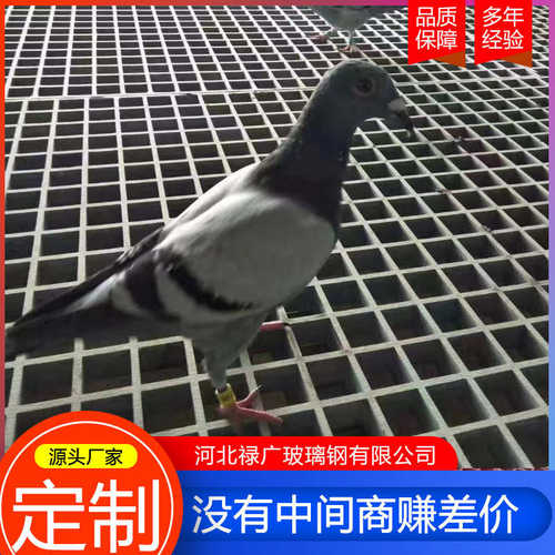 玻璃钢十字格栅网格板鸽舍养殖场格栅光伏检修通道市政工作平台