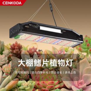 亚马逊无极调光LED植物生长灯240W鳍片植物补光灯Growlight