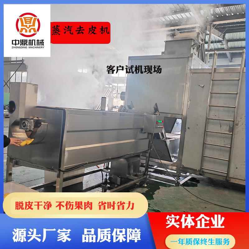 商用全自动黄桃清洗去皮机 毛桃脱皮专业设备 黄桃罐头生产流水线