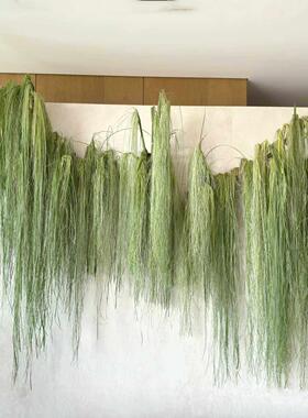 花艺装置美陈花材水烛叶丝干 干燥花花束垂挂型装饰材料大型草月