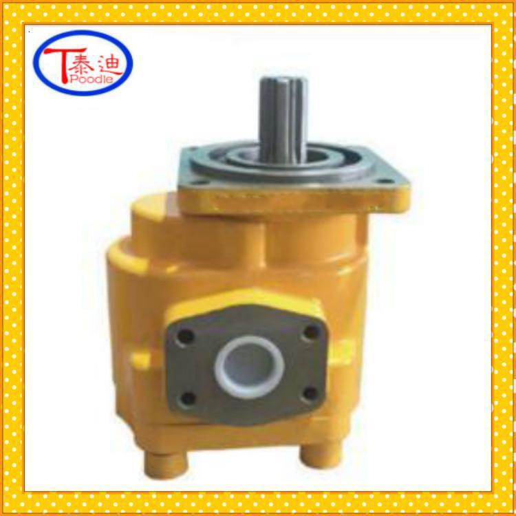 P7600-F140NP3676G-R齿轮泵柳工装载机齿轮油泵
