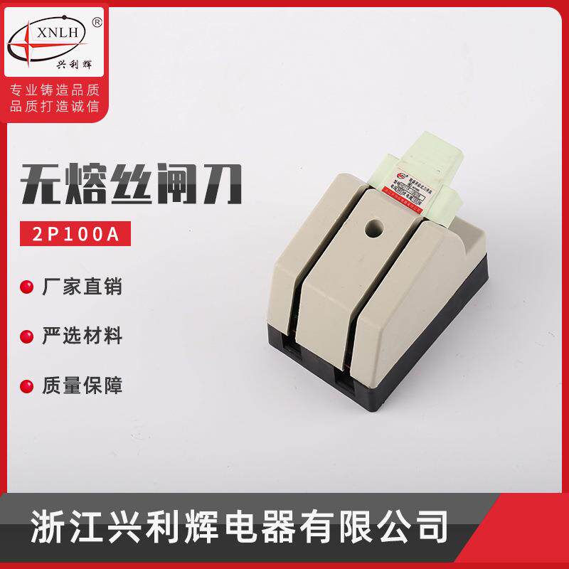 厂家供应 光伏专用无熔丝闸刀 2P100A 防误刀开关 无保险丝闸刀