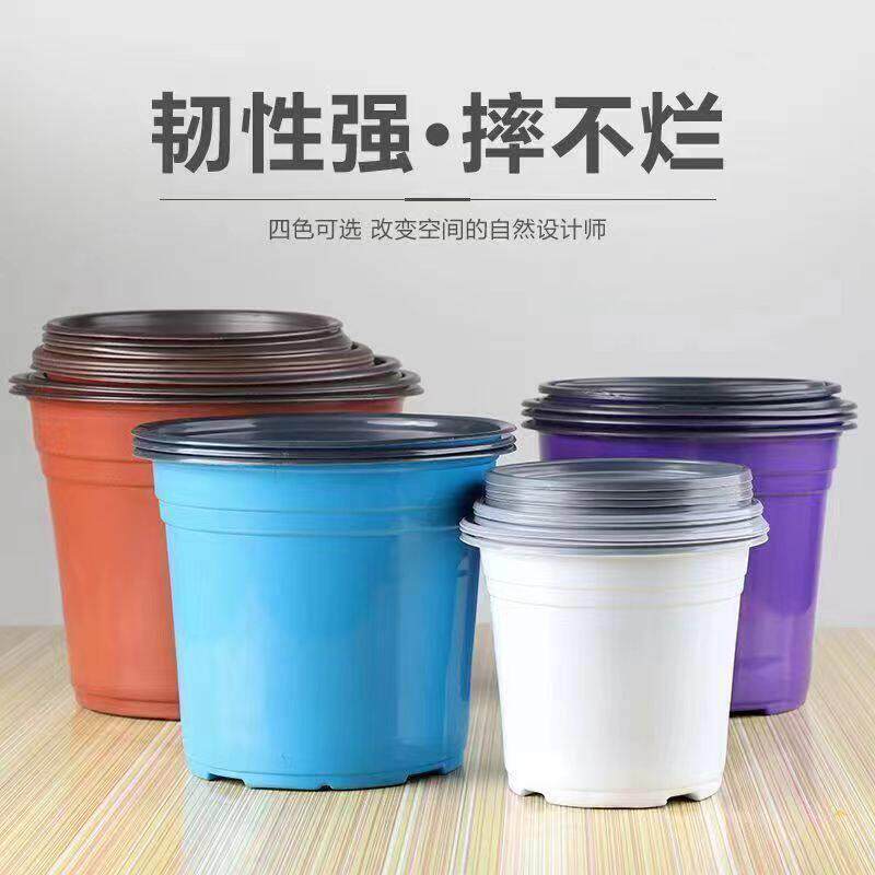 加厚双色盆双色盆育苗盆外白内黑多肉花盆简易盆白色双色盆