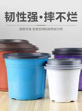 加厚双色盆双色盆育苗盆外白内黑多肉花盆简易盆白色双色盆