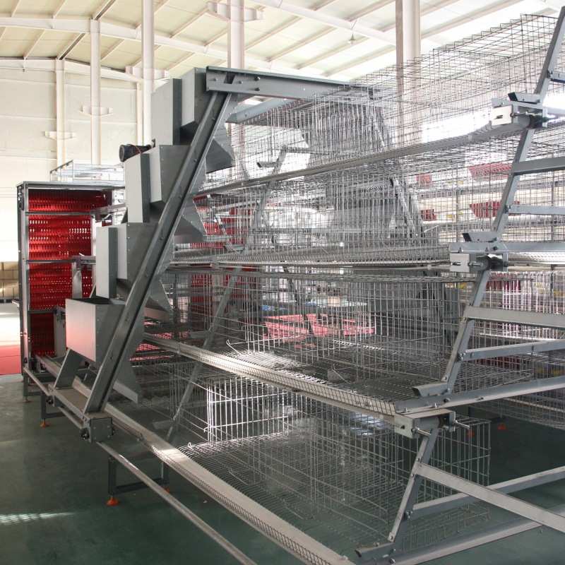 阶梯蛋鸡笼全自动新款养鸡养殖设备加背负式喂料机多层阶梯热镀锌