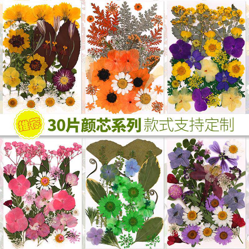 干花压花滴胶手机壳手工材料压花台灯团扇香薰蜡烛diy押花材料包