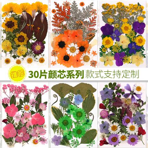 干花压花滴胶手机壳手工材料压花台灯团扇香薰蜡烛diy押花材料包