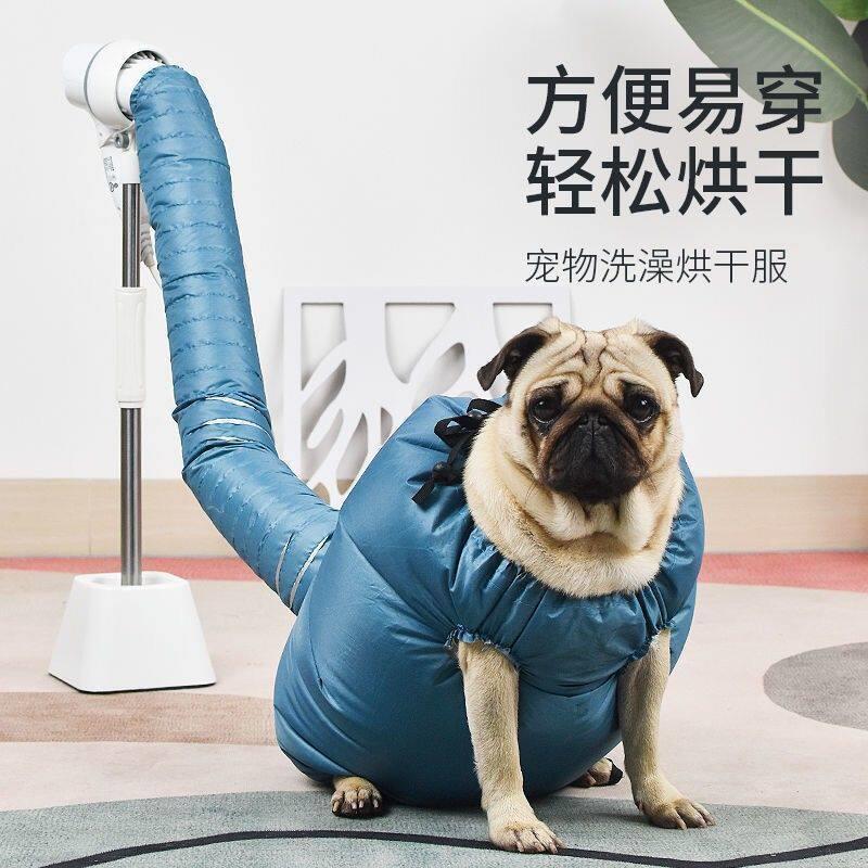 宠物烘干箱自动烘干泰迪柯基猫咪负离子护毛吹风机洗澡静音吹毛