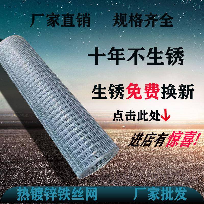 镀锌铁丝网围栏养殖围网铁网格网防鼠拦鸡家禽防护网钢丝网格片密