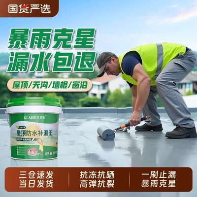 屋顶防水补漏专用涂料楼顶房顶堵漏王外墙裂缝渗水漏水材料防漏胶