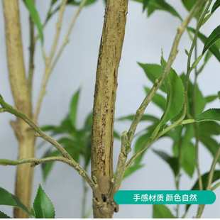 仿真绿植室内盆栽仿生假绿植客厅落地摆件仿真马醉木景观