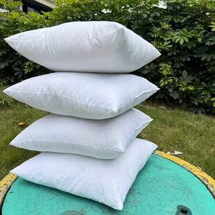 装饰枕芯羽毛抱枕芯汽车靠枕家用居家摆设靠垫65x65CM酒店枕芯