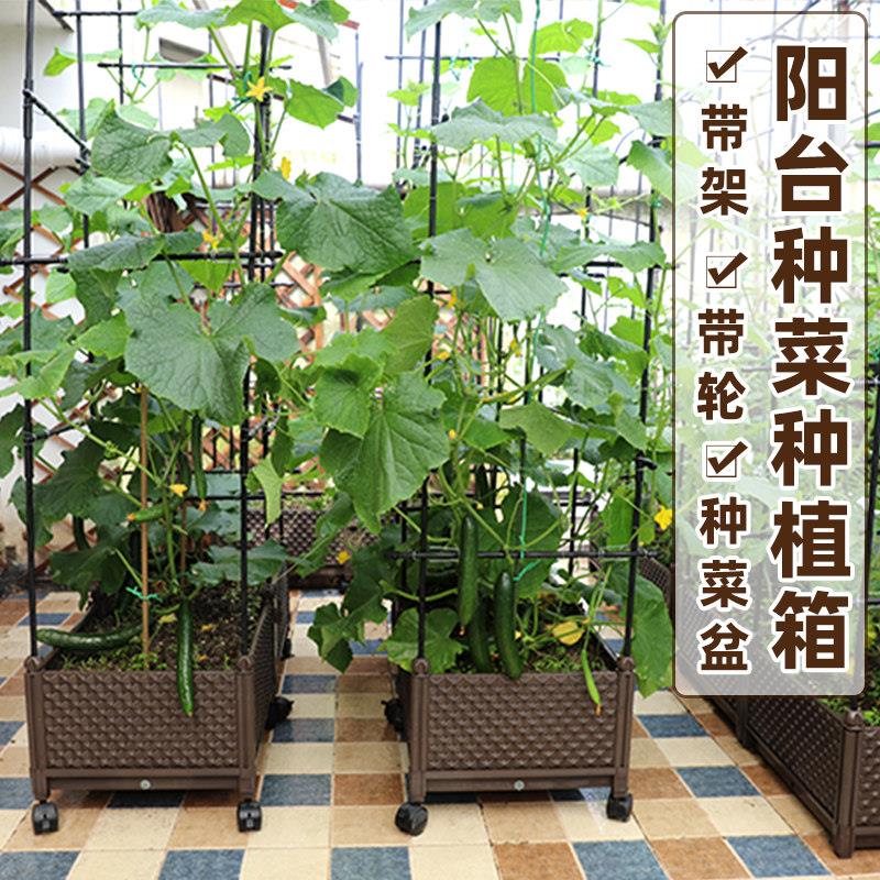 种植箱带架阳台种菜塑料盆菜盆带轮长方形大蔬菜架子爬藤藤架花盆