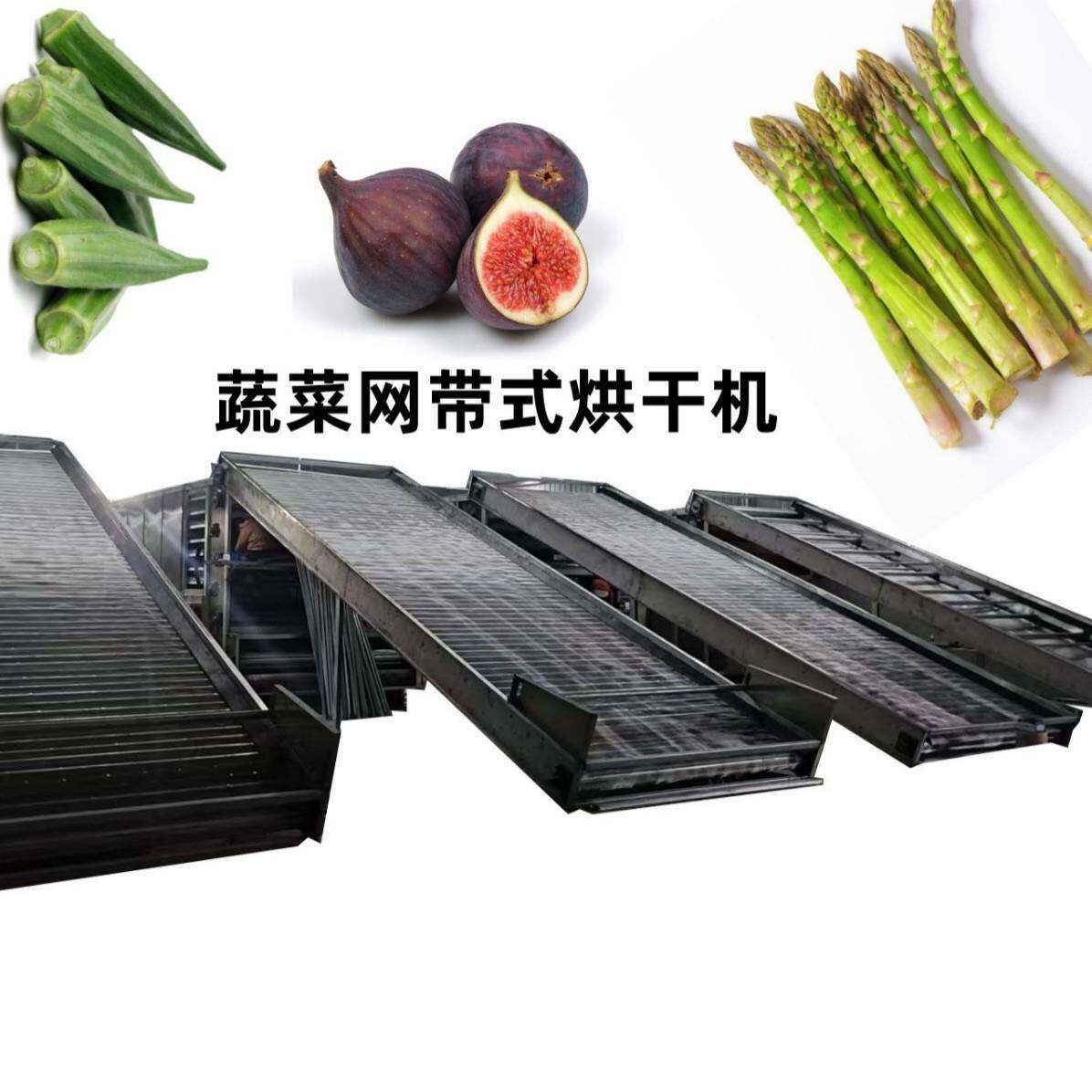 网带式木耳烘干机全自动食品不锈钢干燥机农副产品多层烘干设备