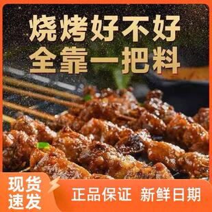 新货天增益烧烤调料果仁蘸料东北烤肉撒料孜然粉辣椒粉全套羊肉