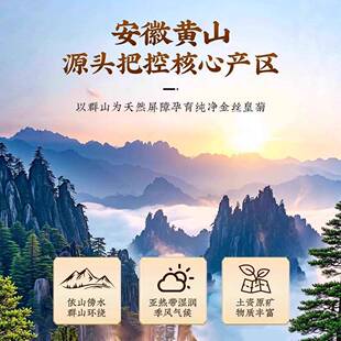 高山金丝皇菊手选菊花茶灭火大菊花泡茶贡胎菊罐装花草养生茶