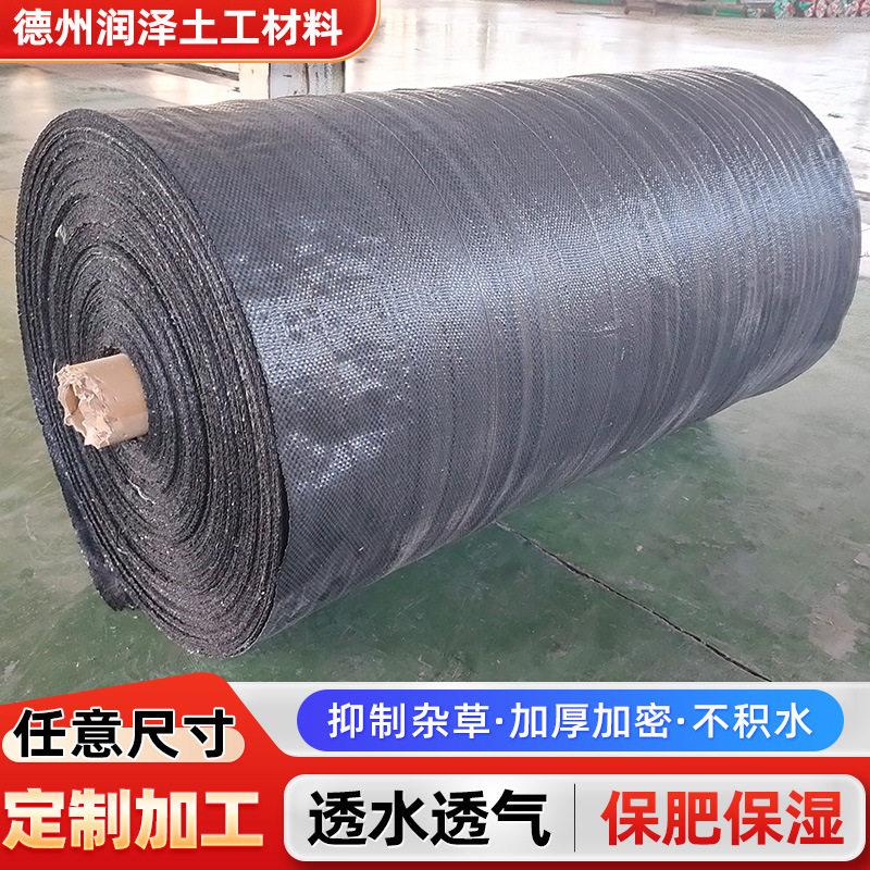 防草布除草布农用果园地布地膜新型生态遮草布厂家盖草布