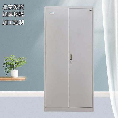 钢制办公二门更衣柜工厂职工宿舍换衣柜带锁储物柜文件柜