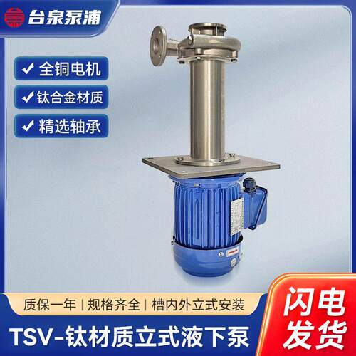 3HP台泉直立式液下循环钛泵2.2KW东元钛合金304可空转液下泵DN50