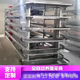 养殖设备层叠式H型蛋鸡笼具全自动化养鹌鹑设备养鸽子笼具