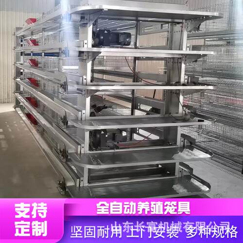 养殖设备层叠式H型蛋鸡笼具全自动化养鹌鹑设备养鸽子笼具厂家