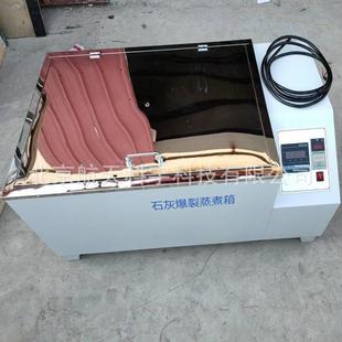 厂家现货ZSX 5152型砖瓦爆裂蒸煮箱红砖石灰爆裂蒸煮箱