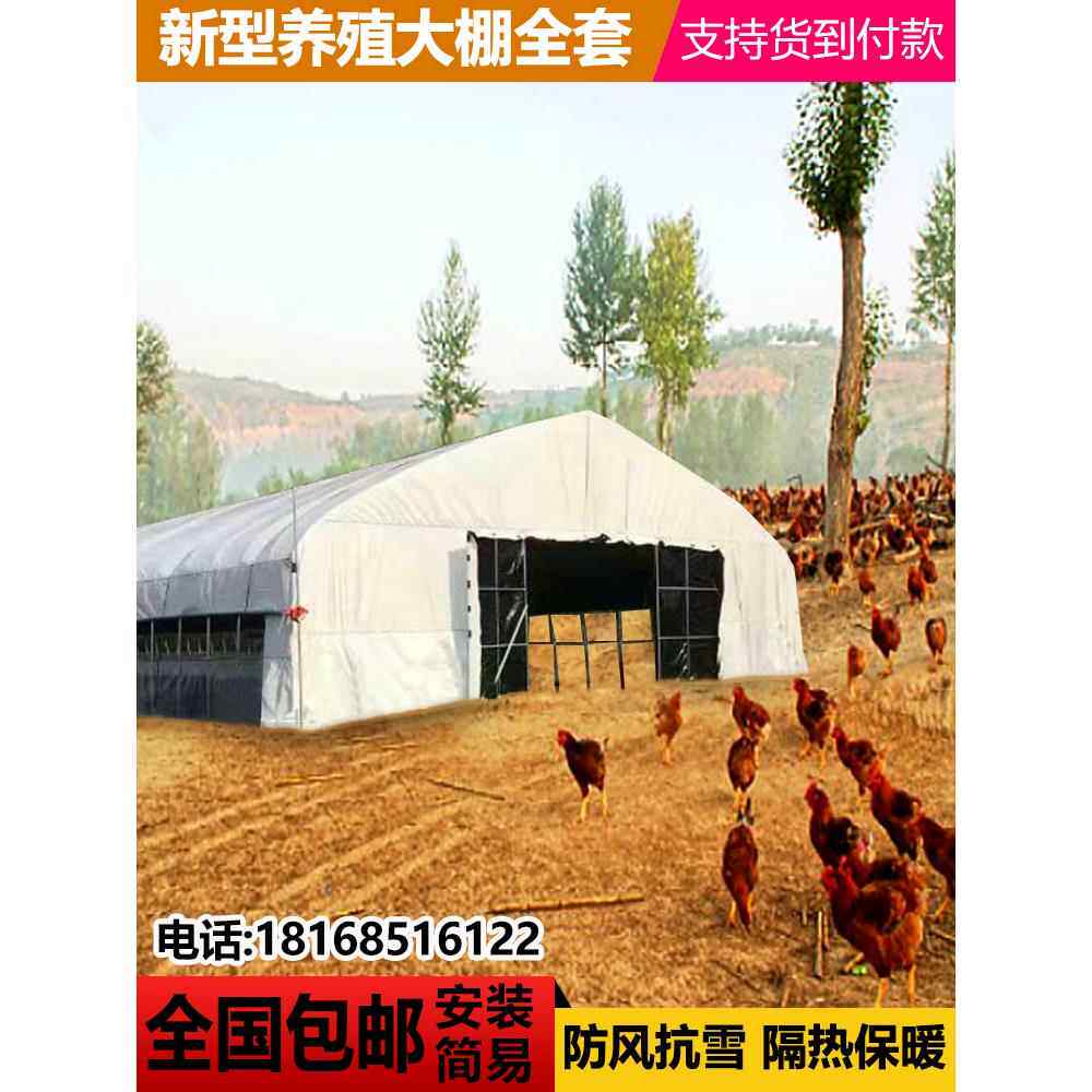 养鸡大棚全套大棚钢管骨架搭建牛棚猪兔养猪大鹏养殖棚架养羊大棚