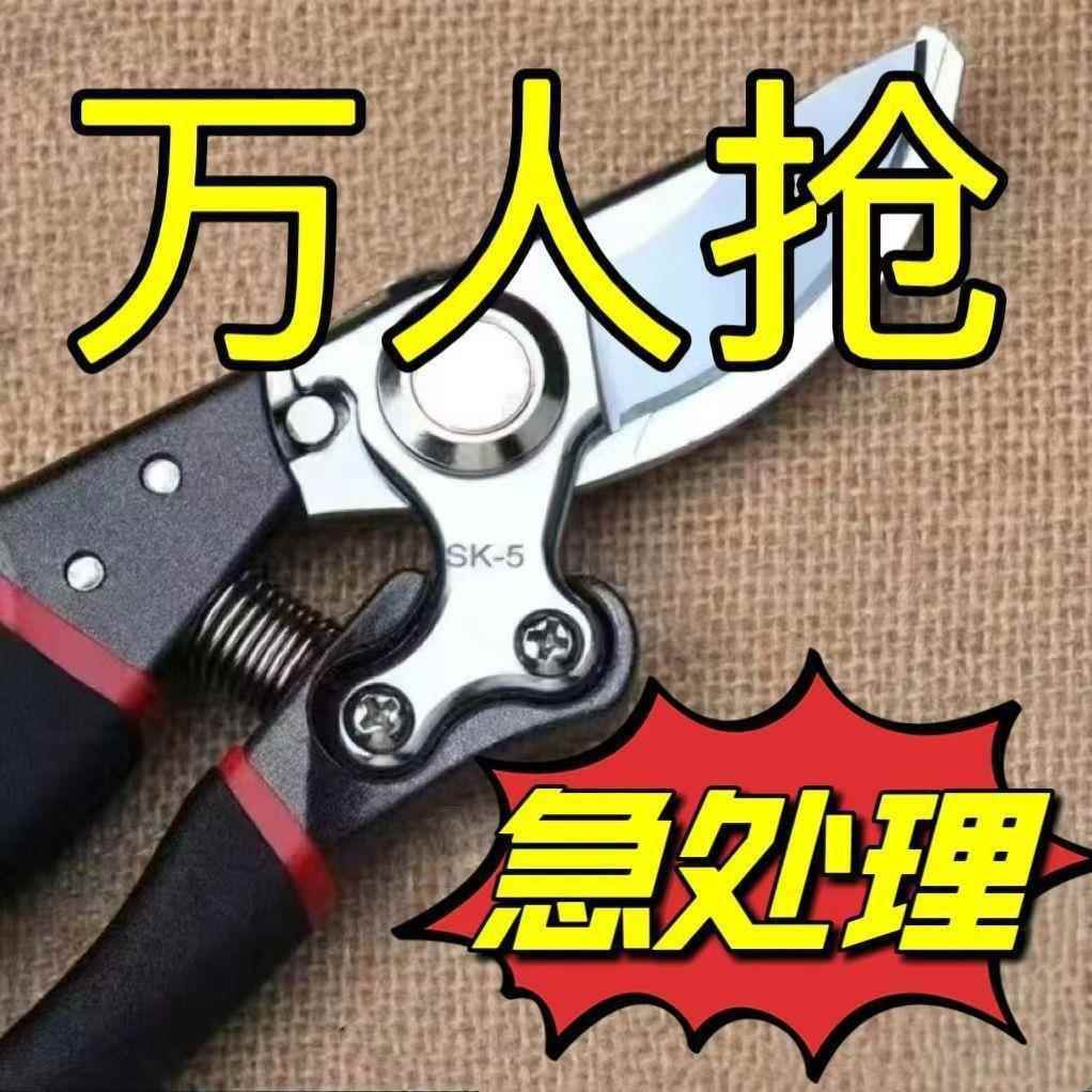 德国原装进口sk5修枝剪果树剪粗枝剪大功率充电剪刀无线 线锂电剪