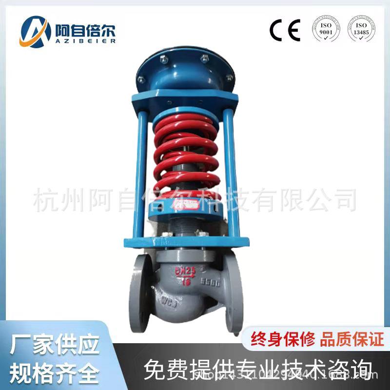 气自氮力式调节FSW阀蒸汽稳压阀自力式减压阀 恒压 阀 微 压阀