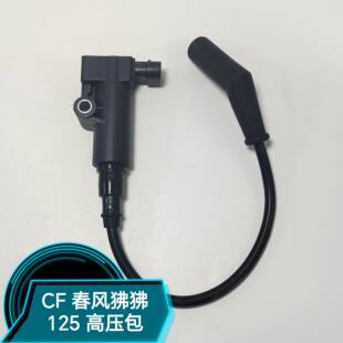 适用CF春风机车ST狒狒CF125-3点火线 线圈高压包点火器点火嘴电喷
