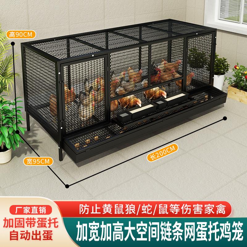 厂家直销蛋鸡笼加密链条网自动出蛋防啄蛋多门带喂食孔超大空间