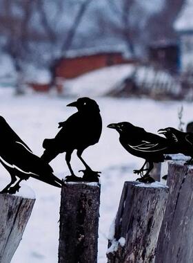 跨境新款4只黑色的乌鸦铁艺工艺品生锈的鸟雕塑户外花园场景装饰