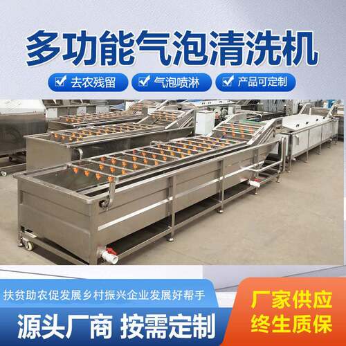 芒果清洗设备火龙果气泡清洗机荔枝清洗机器百香果清洗万能洗