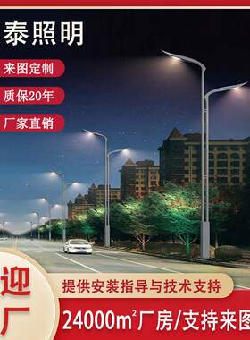 厂家直销6~12米翔翼特色路灯户外防水led路灯特色景观路灯