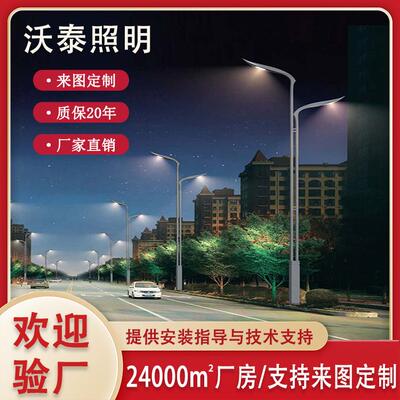 厂家直销6~12米翔翼特色路灯户外防水led路灯特色景观路灯