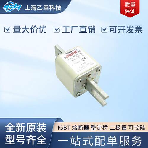 巴斯曼熔断器 170M3013 170M3014 170M3015 170M3016 170M3017