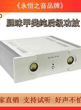 永恒之音X2pro升级版胆味甲类大功率HiFi发烧级家用纯后级功放机