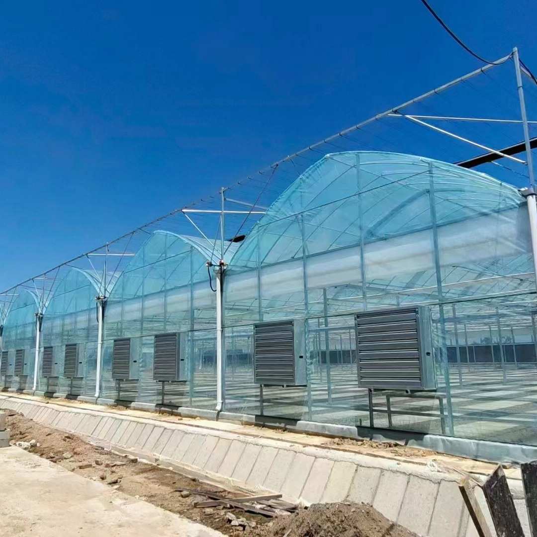 智能连栋薄膜温室大棚钢架日光温室智能温室设计建设厂家智能控制