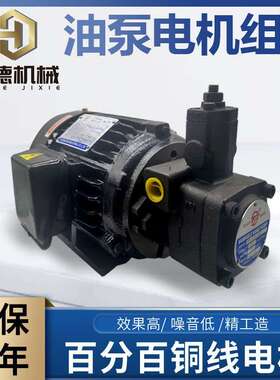 液压油泵电机组VP20+0.75KW1.5液压帮浦总成内轴电机液压站配件系