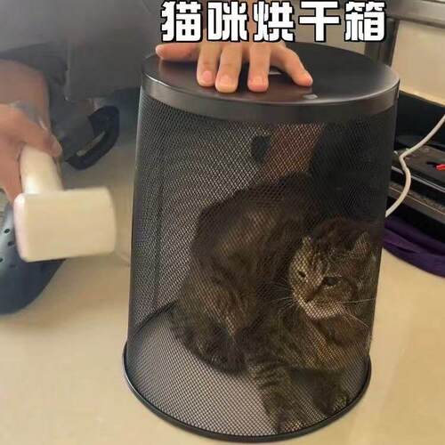 猫咪烘干 干箱宠物狗狗洗澡专用吹干 干神器小型犬吹风机吹水烘干